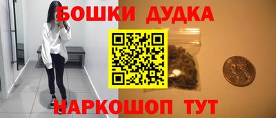 индика Камень-на-Оби